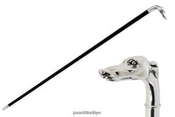 Aksesuarlar PASOTTI üniseks ba w39 - gümüş tazı baş bastonu RZHTTX250