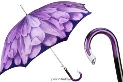 şemsiye | PASOTTI kadınlar 460n 21065-71 g15 - mor yıldız çiçeği şemsiyesi RZHTTX369